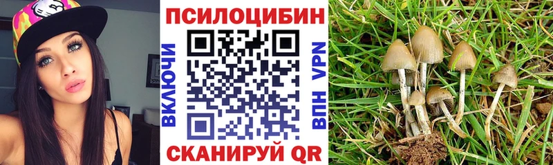 Псилоцибиновые грибы мухоморы  Печоры 